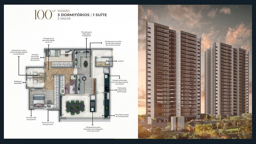 Planta 100m