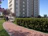 Pista de caminhada