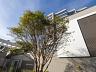Detalhe da fachada do The Hill Residence